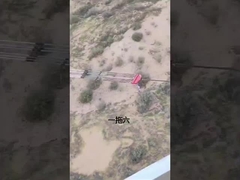 Plaques de tête pour les conducteurs à faisceau